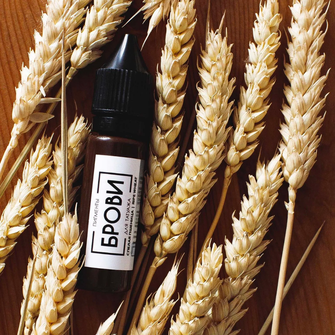RIPE WHEAT (HYBRID)